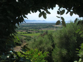 Villa Domenica